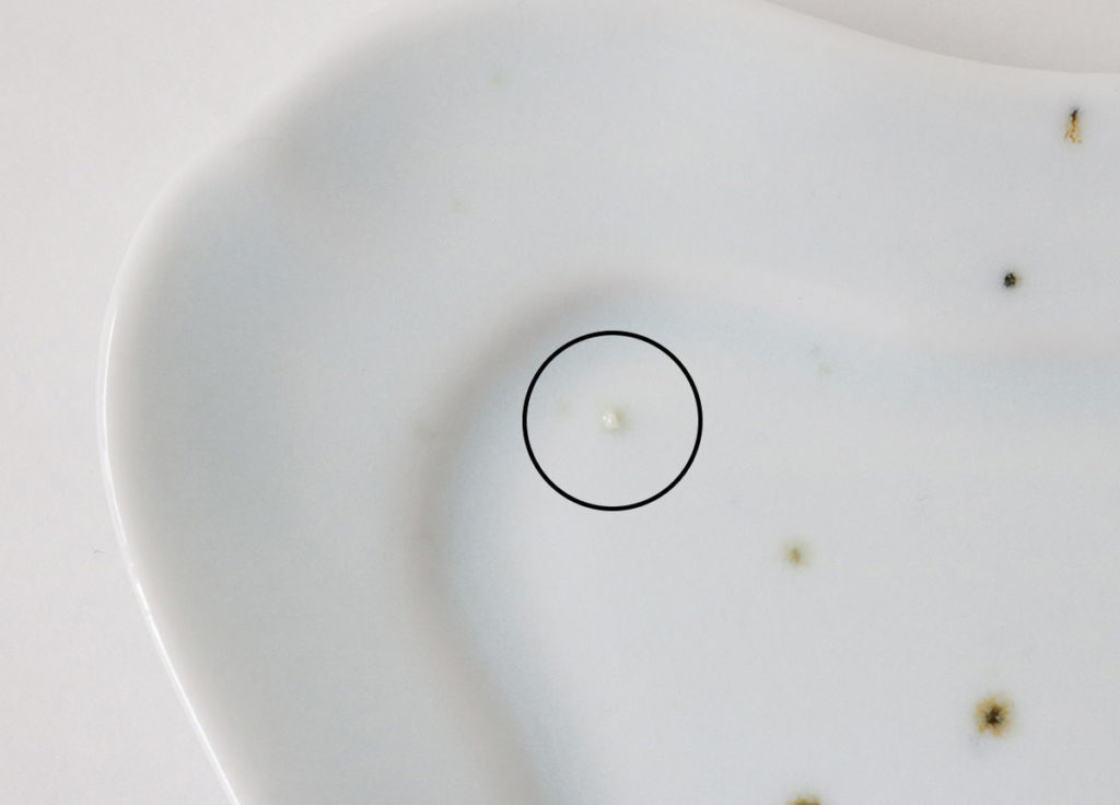 ����ʪ����